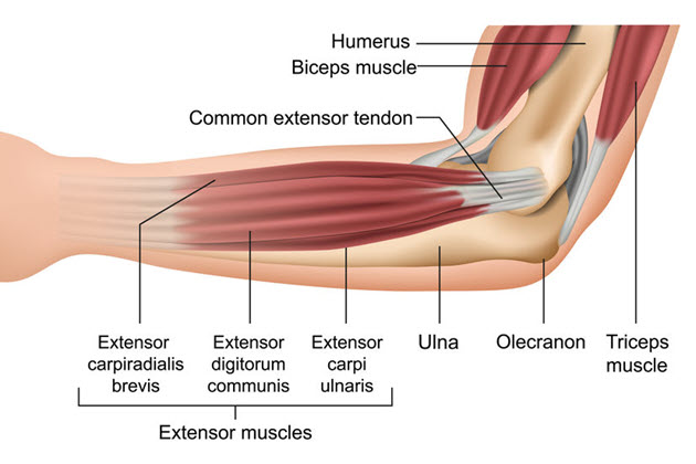 The ArmDoc - Thrower’s Elbow Tip Injury