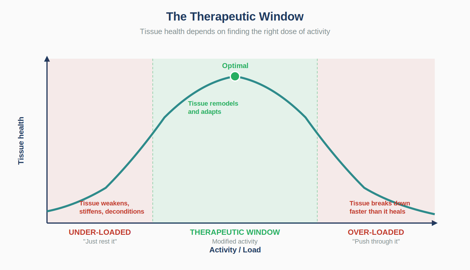 Therapeutic window for tissue healing