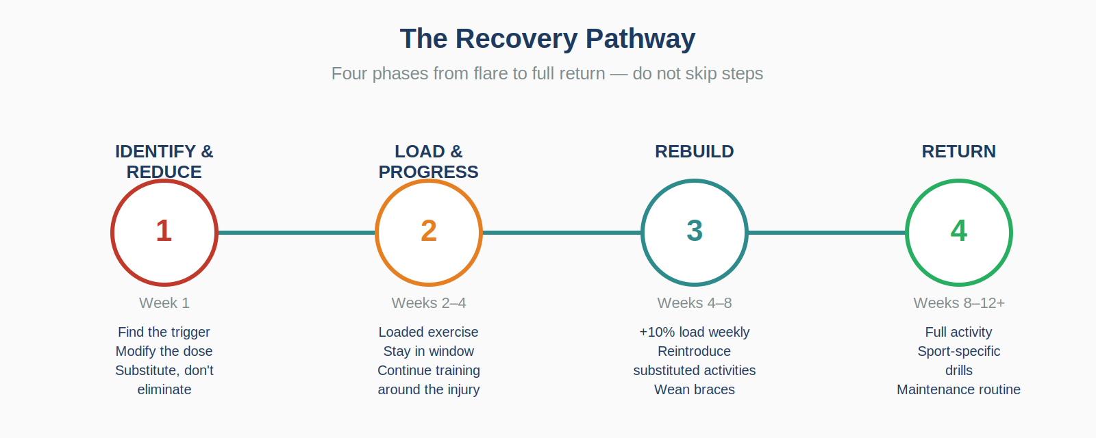 Four phases of recovery