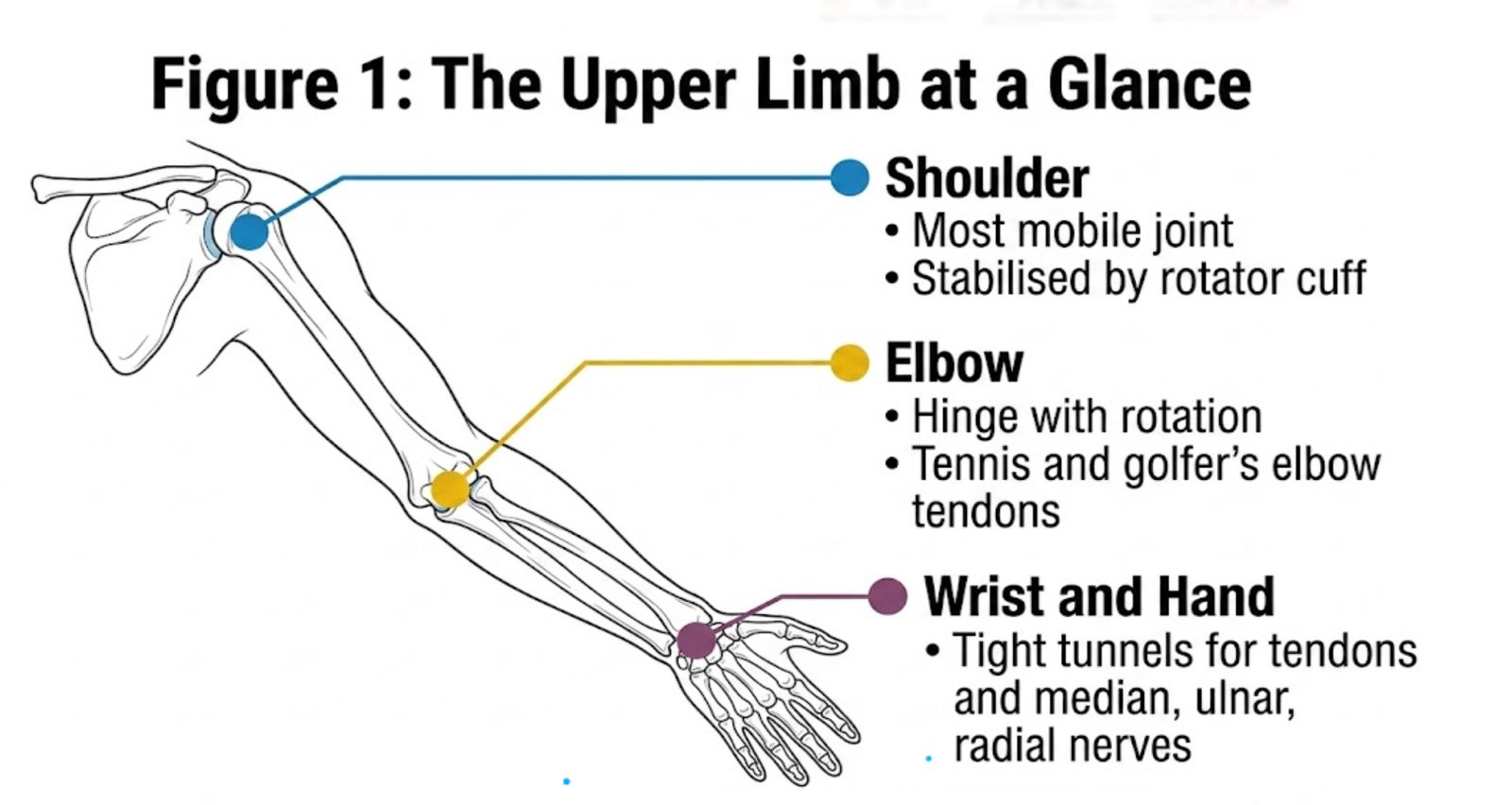 Correct posture compared with slumped posture